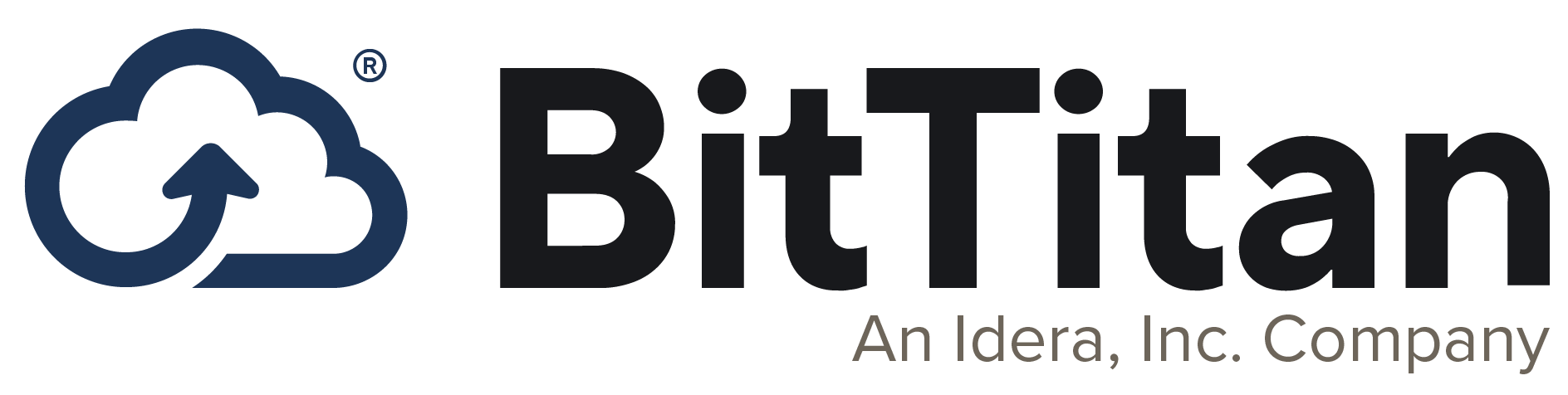 BT IDERA Logo Horizontal on Light