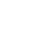 Flushing Logo